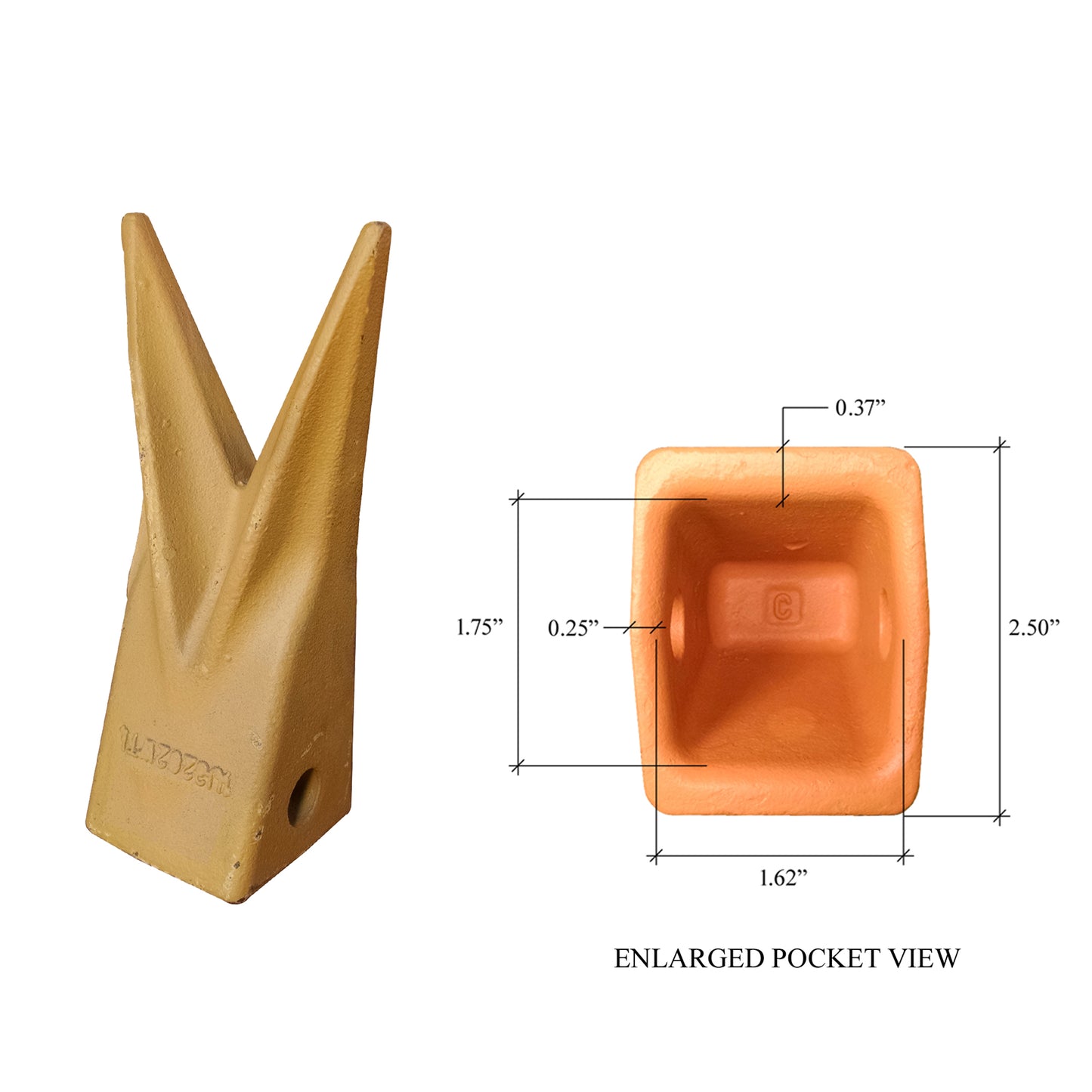 1U-3202WTL Twin Tiger Rock Tooth - 'Cat Style' J200 Series