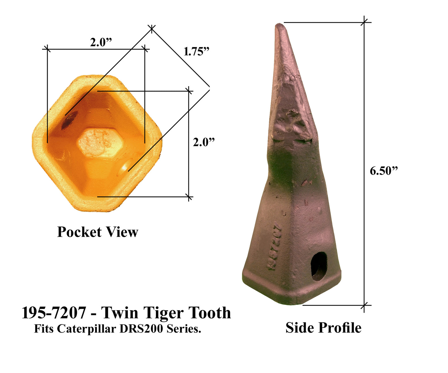 195-7207 Twin Sharp Tip Tooth - 'Cat Style' DRS200
