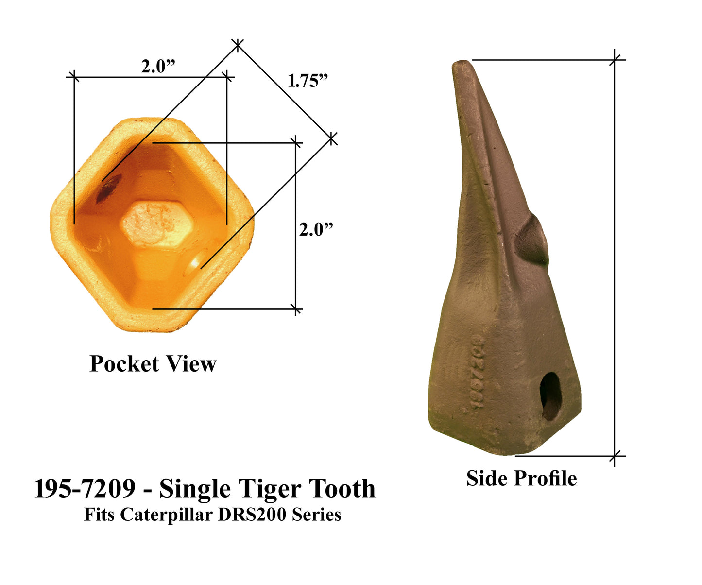 195-7209 Sharp Tip Tooth - 'Cat Style' DRS200