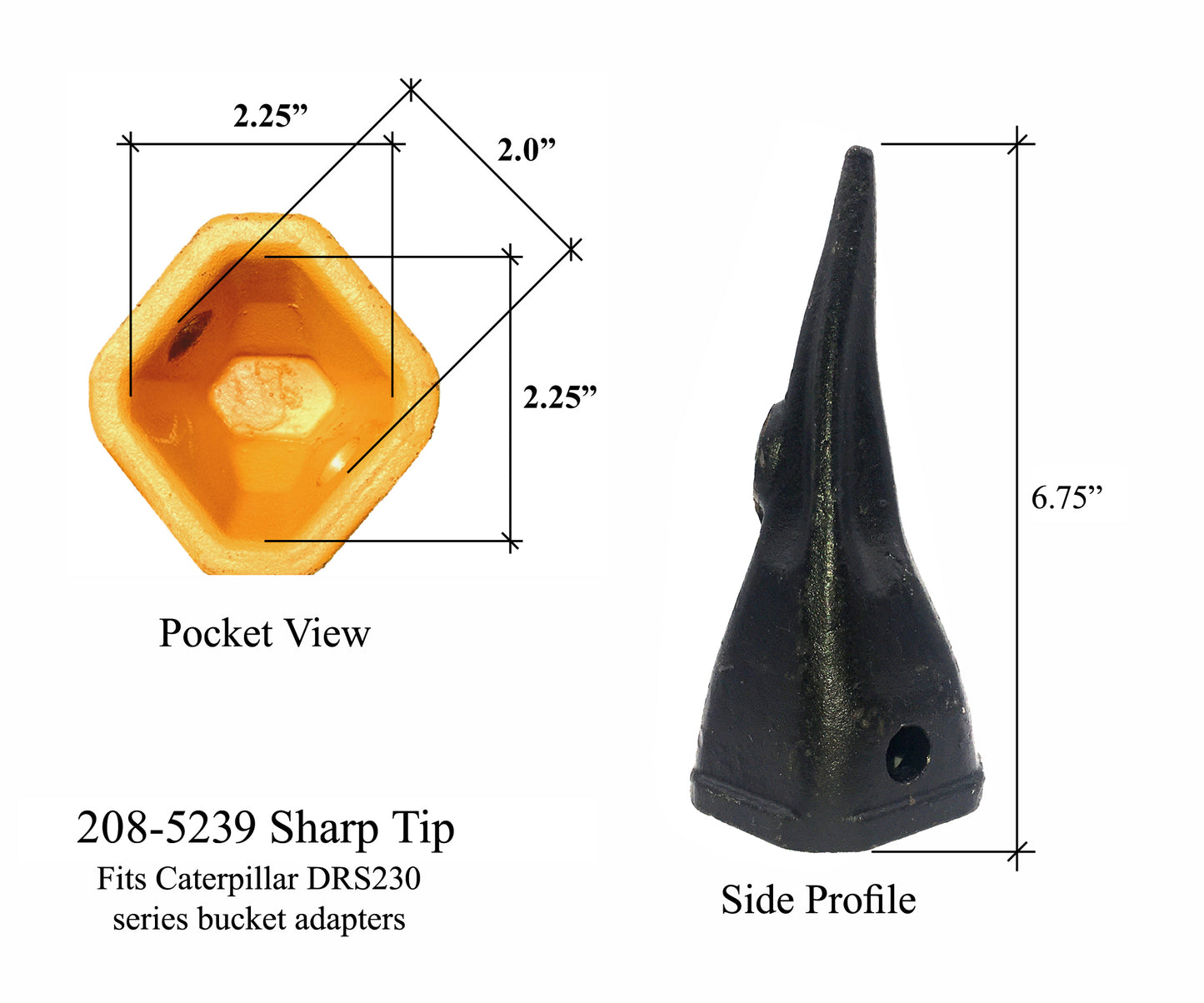 208-5239 Tiger Tip Tooth - 'Cat Style' DRS230